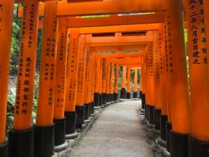 Camino de torii fushimi inari